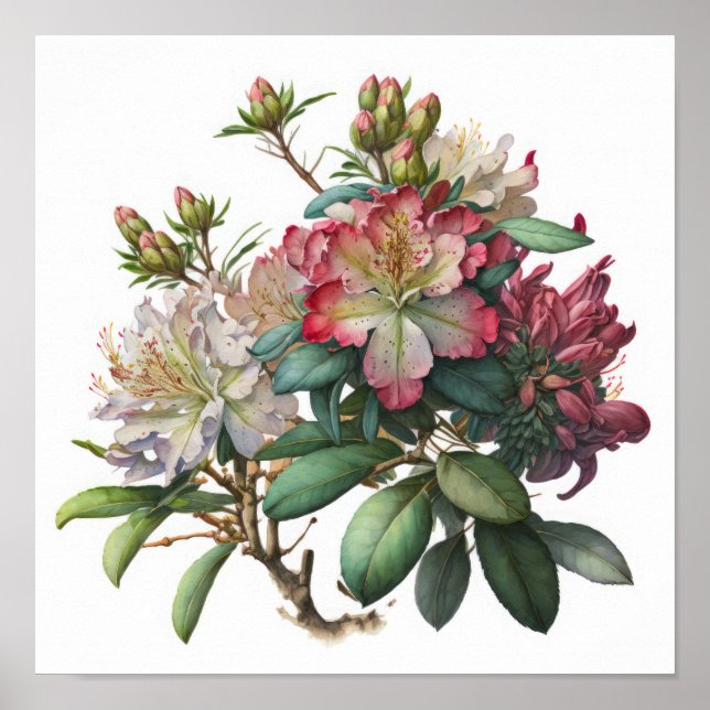 Rosa Rhododendron Blommor Konsttryck Affisch (Framsidan)