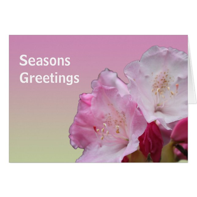 rosa rhododendron-blommor säsonhälsningar hälsningskort (Framsidan Horizontal)