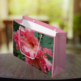 Rosa Rhododendron Bloom Blommigt