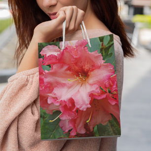 Rosa Rhododendron Bloom Blommigt