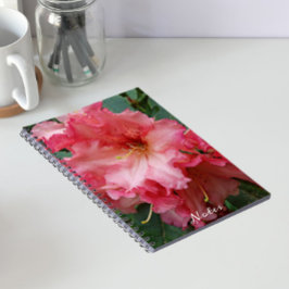 Rosa Rhododendron Bloom Blommigt Anteckningsbok