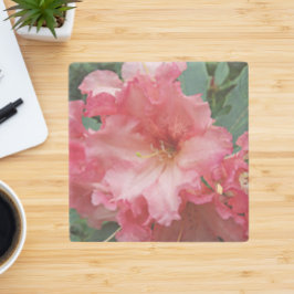 Rosa Rhododendron Bloom Blommigt Stenunderlägg