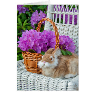 rosa rhododendron bouquet och bunny på stol hälsningskort