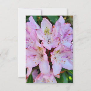 Rosa Rhododendron Flower Inbjudningar