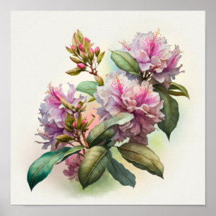 Rosa Rhododendron Flowers Art Print Poster