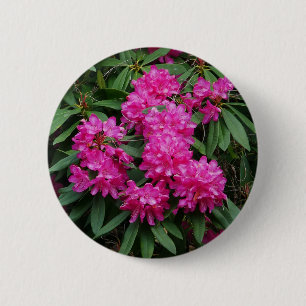 Rosa Rhododendron Flowers Badge Knapp