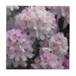 Rosa Rhododendron Flowers Flora Photo Tile Kakelplatta