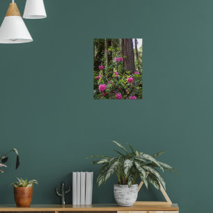 Rosa Rhododendron i en skog Floral Fotografisk Poster