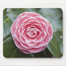 Rosa Rhododendron Mousepad Musmatta