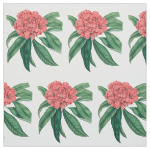 Rosa Rhododendron Tyg