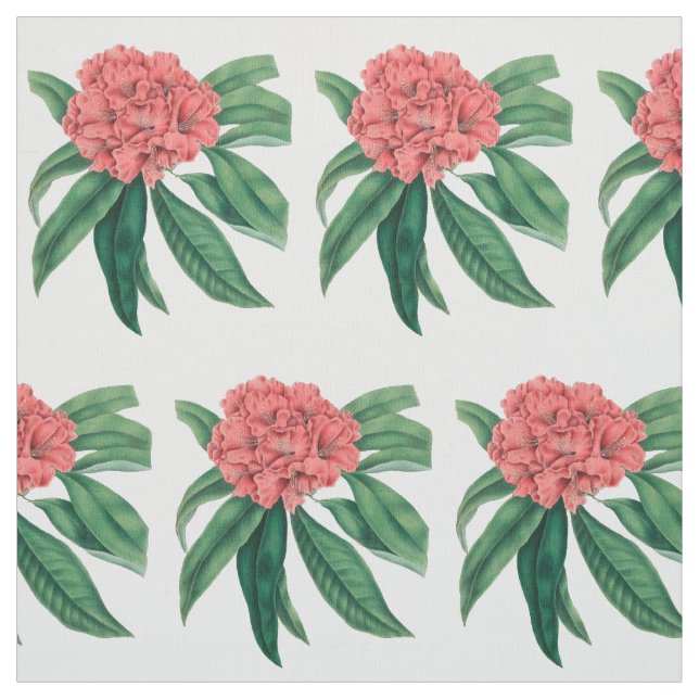 Rosa Rhododendron Tyg (Provkarta)