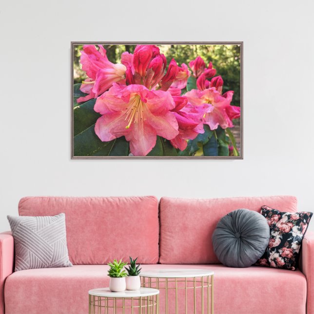 Rosa Rhododendronblommor Blommor Canvastryck (Insitu (Vardagsrum))