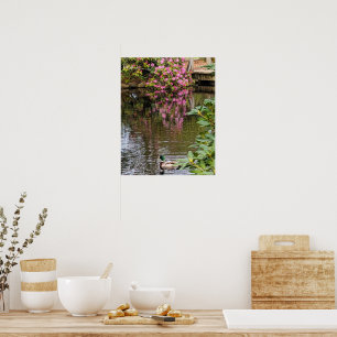 Rosa Rhododendronblommor Vattenreflektion Poster
