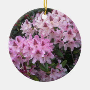 Rosa Rhododendronprydnad Julgransprydnad Keramik