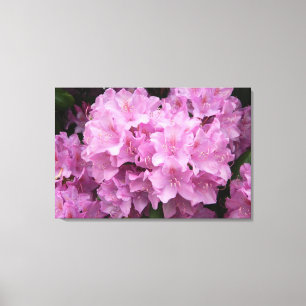 Rosa Rhododendrons Wrapped Canvas Skriv ut