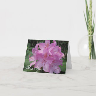 Rosa Rhody tack Kort