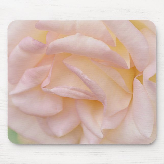 Rosa  Ro Petals Art Mouse Pad Musmatta (Framsidan)