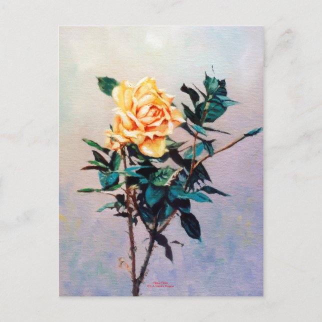 Rosa/Ro Vykort (Framsida)