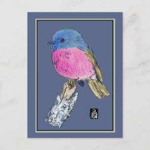 Rosa Robin Colorful Small Bird Vykort