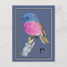 Rosa Robin Colorful Small Bird Vykort