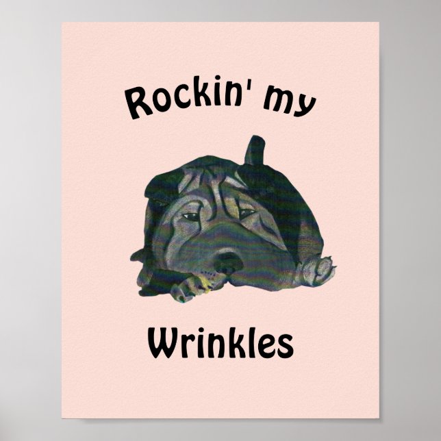 Rosa "Rockin" Min Wrinkles Black Sharpei Poster (Framsidan)