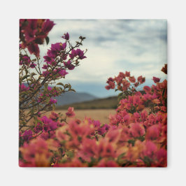 Rosa röda bougainvillea blommor landskapsmagnet magnet