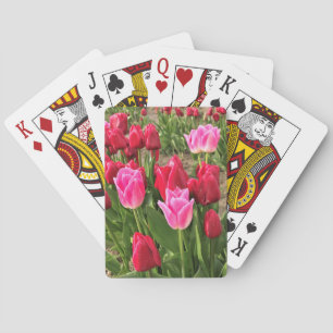 Rosa & Röda Tulpaner Casinokort