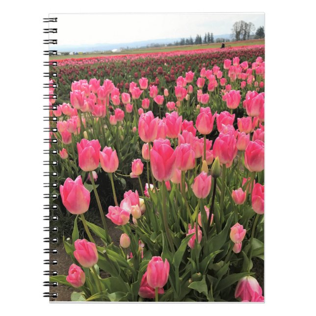 Rosa & röda tulpaner i ett fält, Oregon Anteckningsbok (Framsidan)