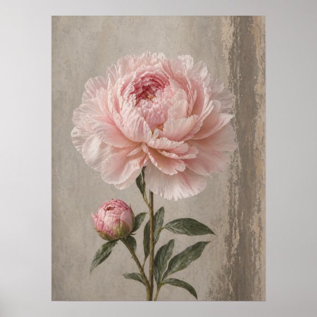 Rosa Rodblommig Peony med Knopp Botanisk Poster (Framsidan)