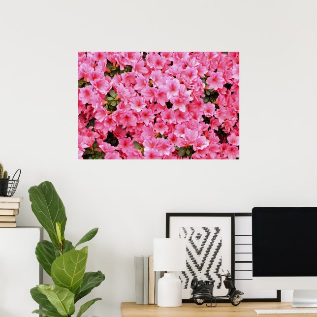 Rosa rododendronblommor poster (Hemmakontoret)