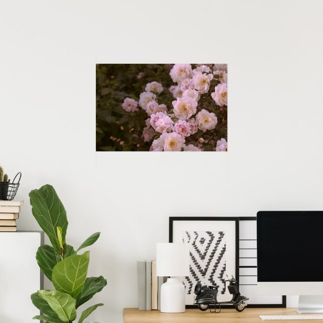 Rosa romantic ro poster (Hemmakontoret)