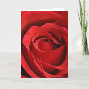 Rosa romantisk valentin för jätte helgkort