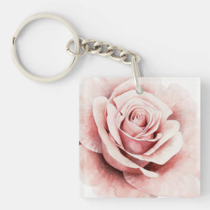 Rosa ros