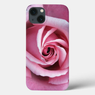 rosa ros