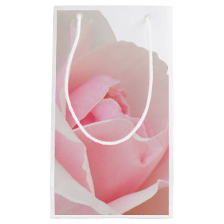 Rosa ros