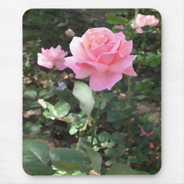 Rosa ros 1 musmatta (Framsidan)