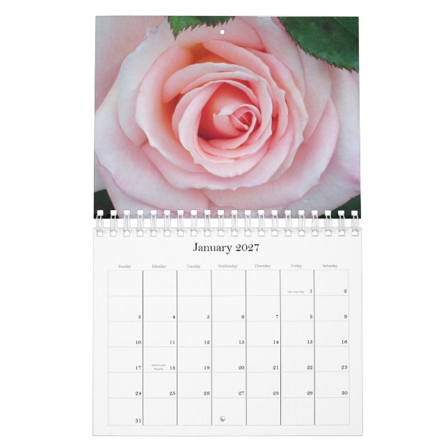 Rosa ros 2011 blom- kalender (Jan 2027)