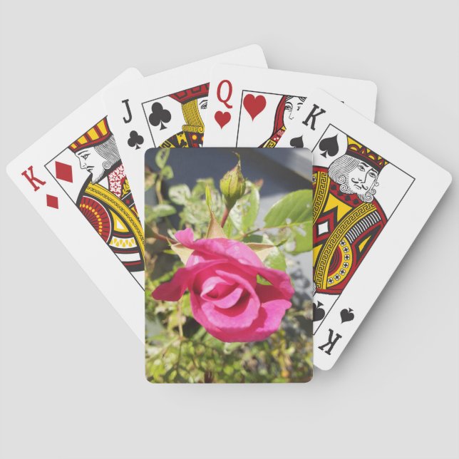 ROSA ROS 2 CASINOKORT (Baksidan)