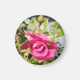 Rosa ros#2 Magnet