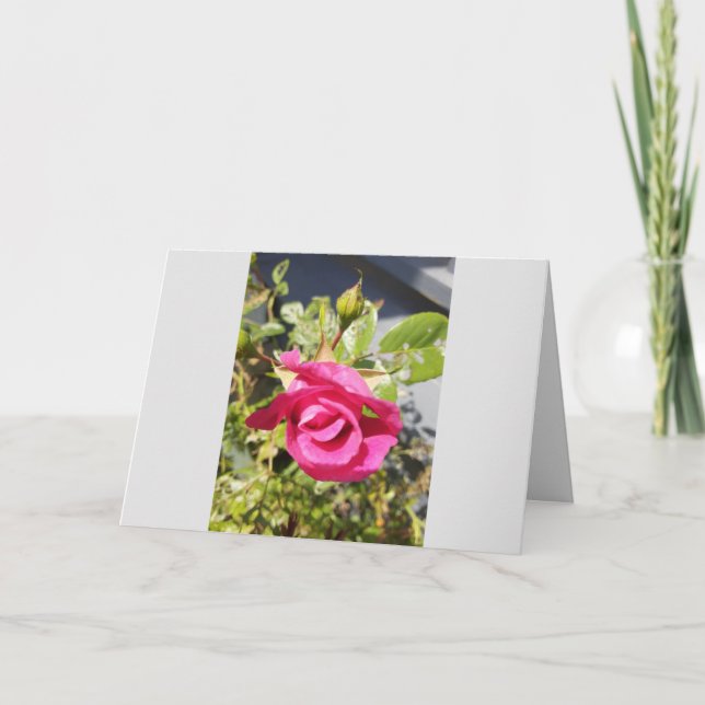 Rosa ros #2 - mappat tackkort (Framsida)