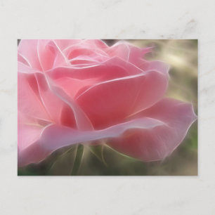 rosa ros 3 Angelic Vykort