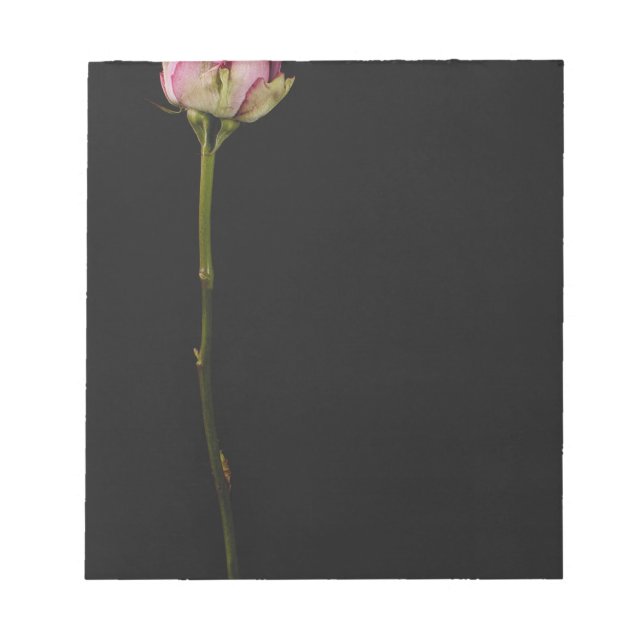 ROSA ROS 3 ANTECKNINGSBLOCK (Framsida)