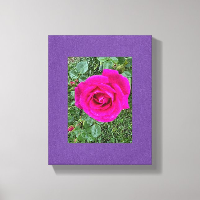 Rosa Ros #3 Canvastryck (Framsida)