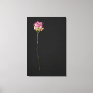 Rosa ros 3 canvastryck