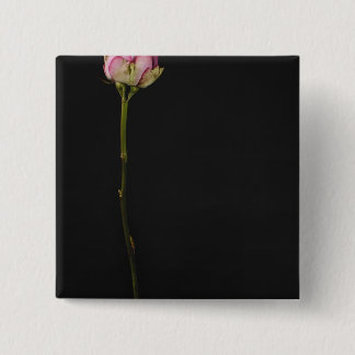 Rosa ros 3 knapp