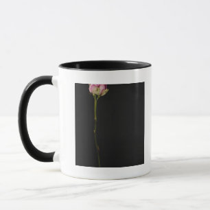 Rosa ros 3 mugg
