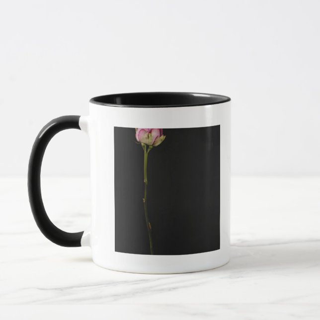 Rosa ros 3 mugg (Vänster)