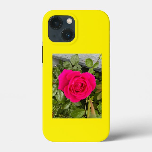 ROSA ROS 4 (Baksida)