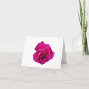 Rosa ros #5 Falt gratulationskort Kort