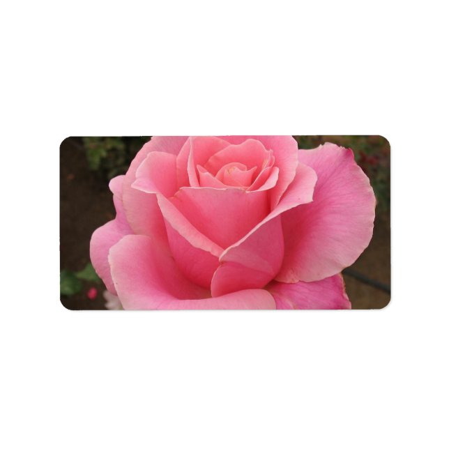 Rosa ros-adressetikett adressetikett (Framsidan)